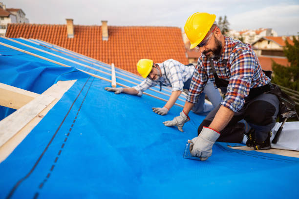 Best Metal Roofing Contractor  in Myrtle Grove, NC