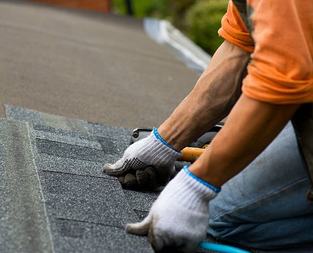 Best Roof Gutter Cleaning  in Myrtle Grove, NC